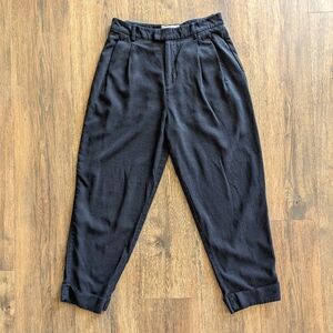 Everlane The Put Together Pleat Pant